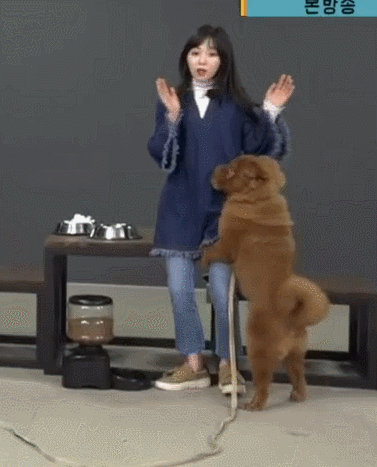 AOA 민아 개당황....jpgif | 인스티즈