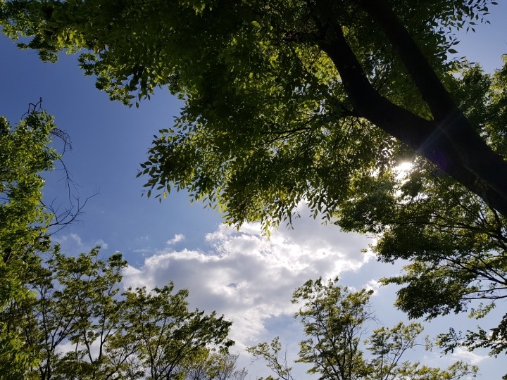 갤럭시S8로 찍은 사진들.jpg | 인스티즈