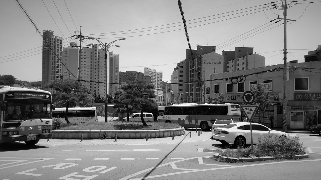 한우장터 이미지