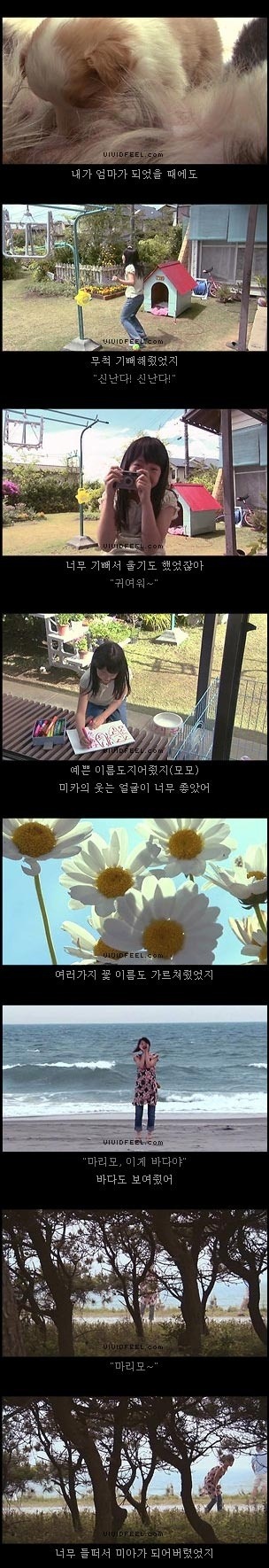 당신의 반려동물과의 이별을 생각해 본 적이 있습니까? | 인스티즈