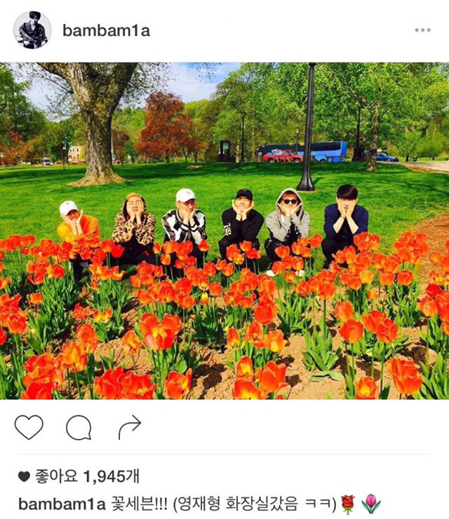 꽃피는 3월 아이돌 대전 여자친구vs비투비vs걸스데이vs갓세븐vs 러블리즈vs태연 승자는? | 인스티즈