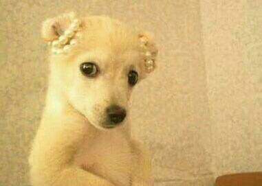 [고르기] 짝사랑에 실패하면 당신은 어느 경우? | 인스티즈