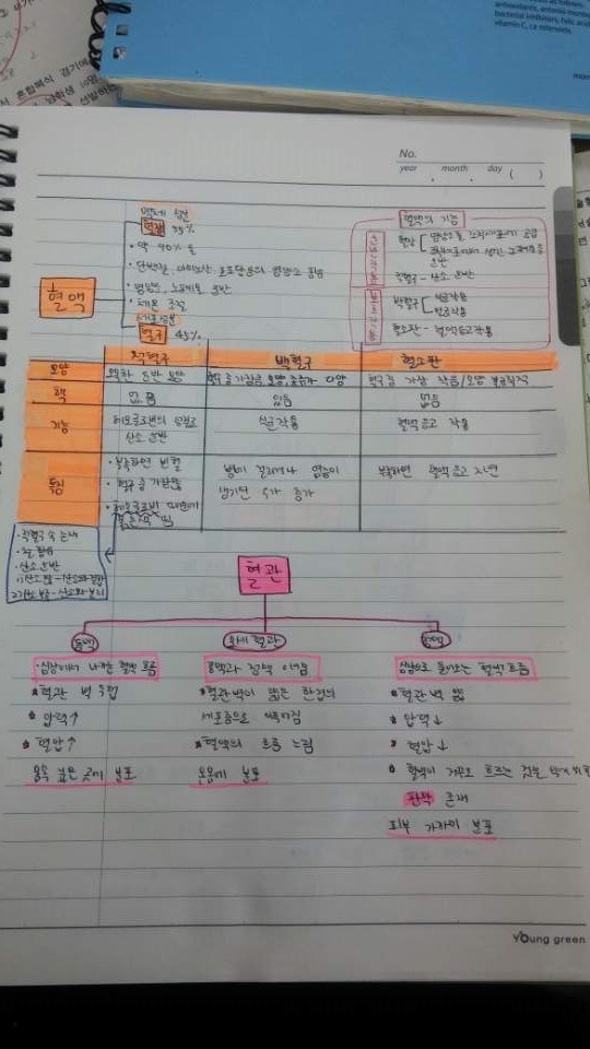 가가가가 이미지