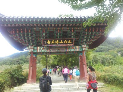 브이레인 이미지