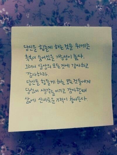 마흔여덟 이미지
