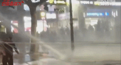 일베충들이 선동하고 다니는 실험.gif | 인스티즈