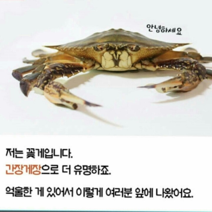 간장게장 먹는방법 | 인스티즈