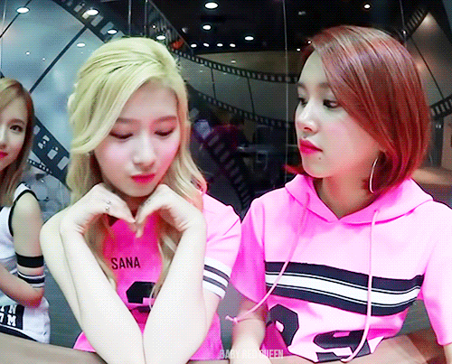 트와이스 사나 채영 카메라 근접 꽁냥.gif | 인스티즈