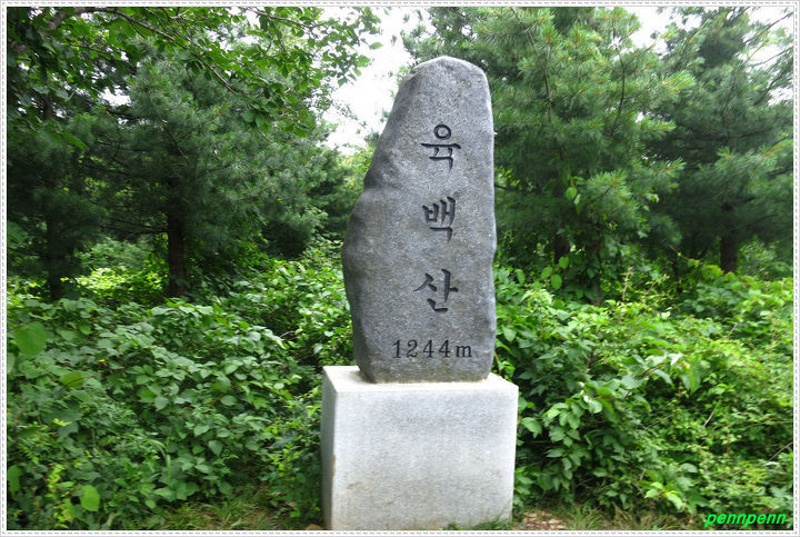 강원육백산 이미지