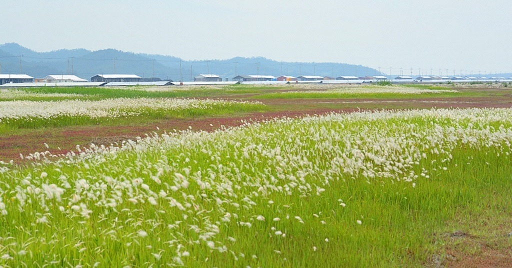 세권 이미지