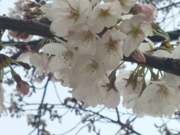 온천장 이미지