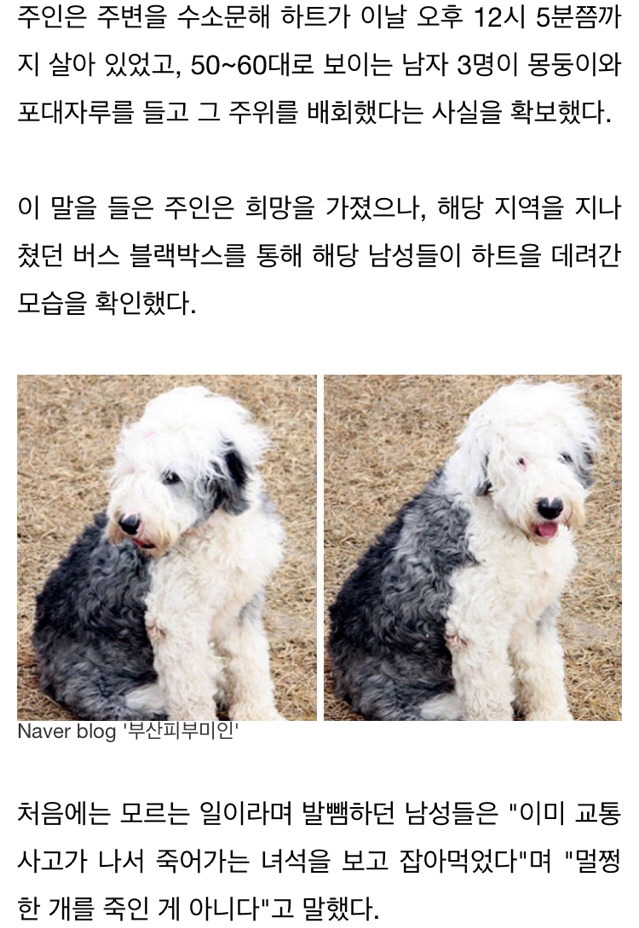수렵시대 대한민국 | 인스티즈