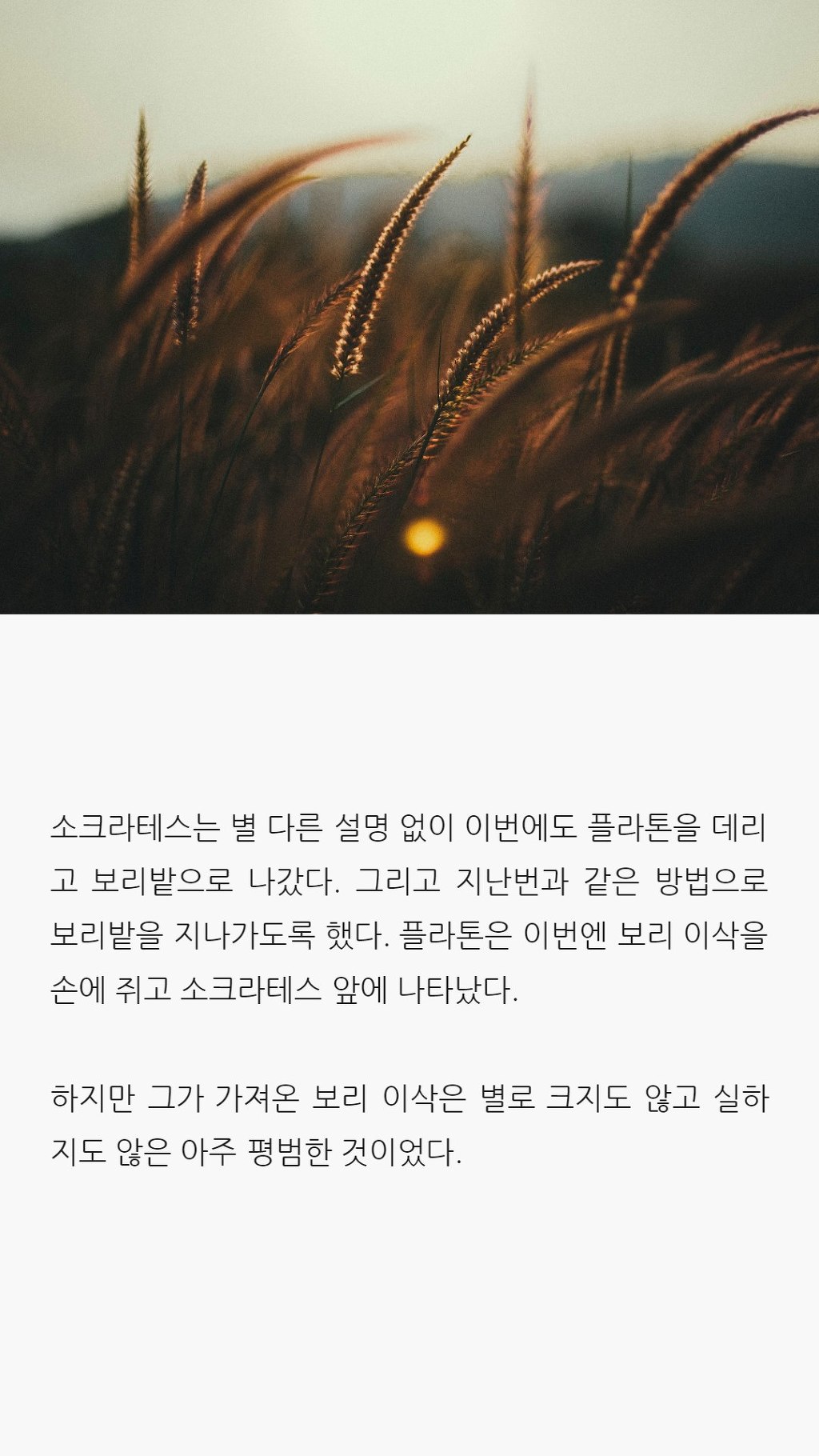  사랑에 대해 모르는 당신이 읽으면 좋은 글 | 인스티즈