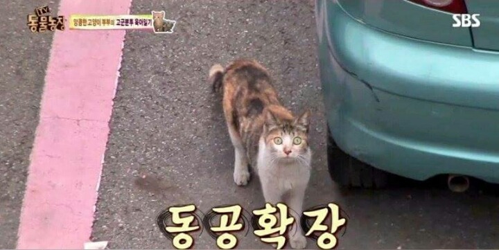 동물농장 PD의 역대급 당황 | 인스티즈