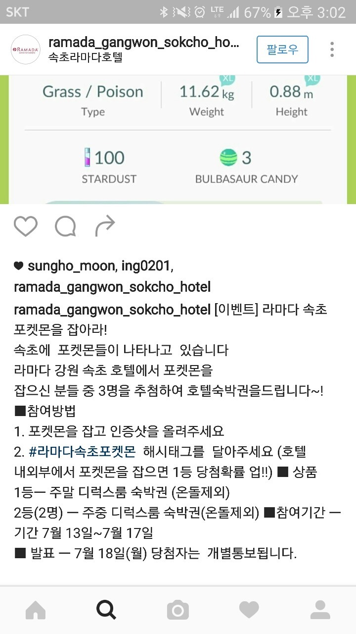 물들어오니 노젓는 속초사람들.jpg | 인스티즈