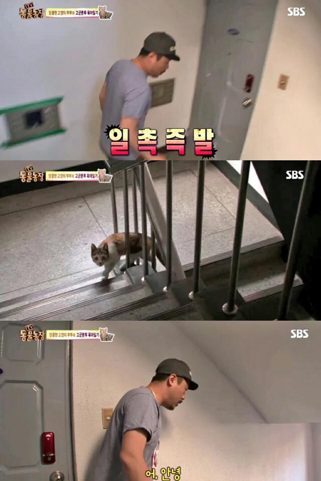 어미 고양이와 마주친 동물농장 PD | 인스티즈