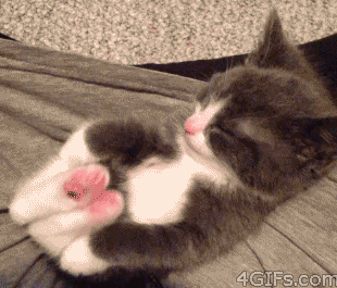 이미 사망한 회원님의 글입니다 | 인스티즈