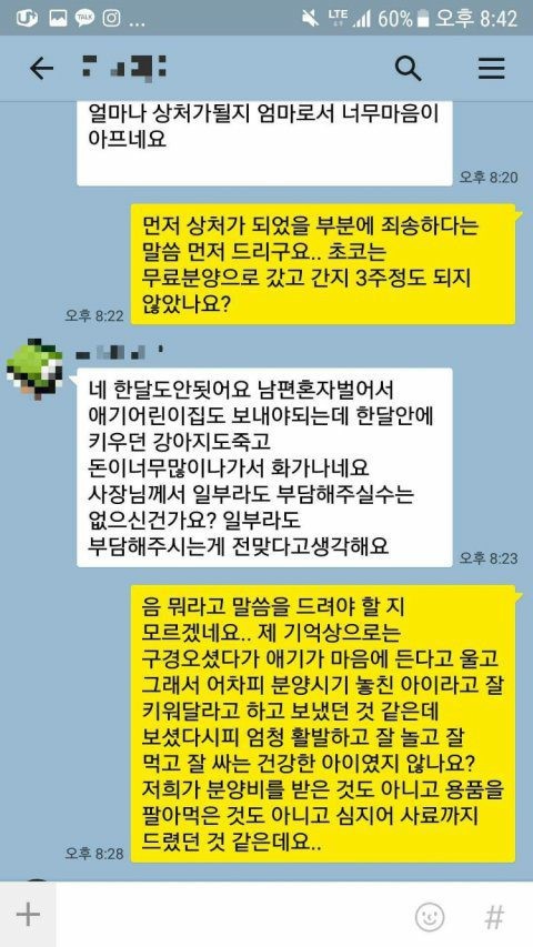 펫샵에서 강아지 분양받은 후.jpg | 인스티즈