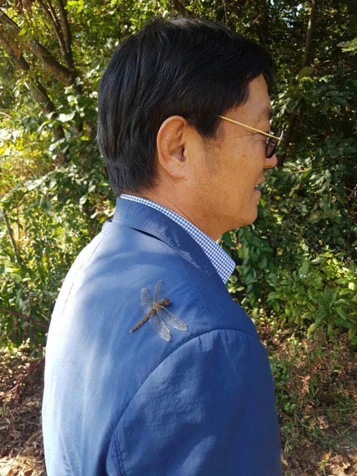 그린골프 이미지