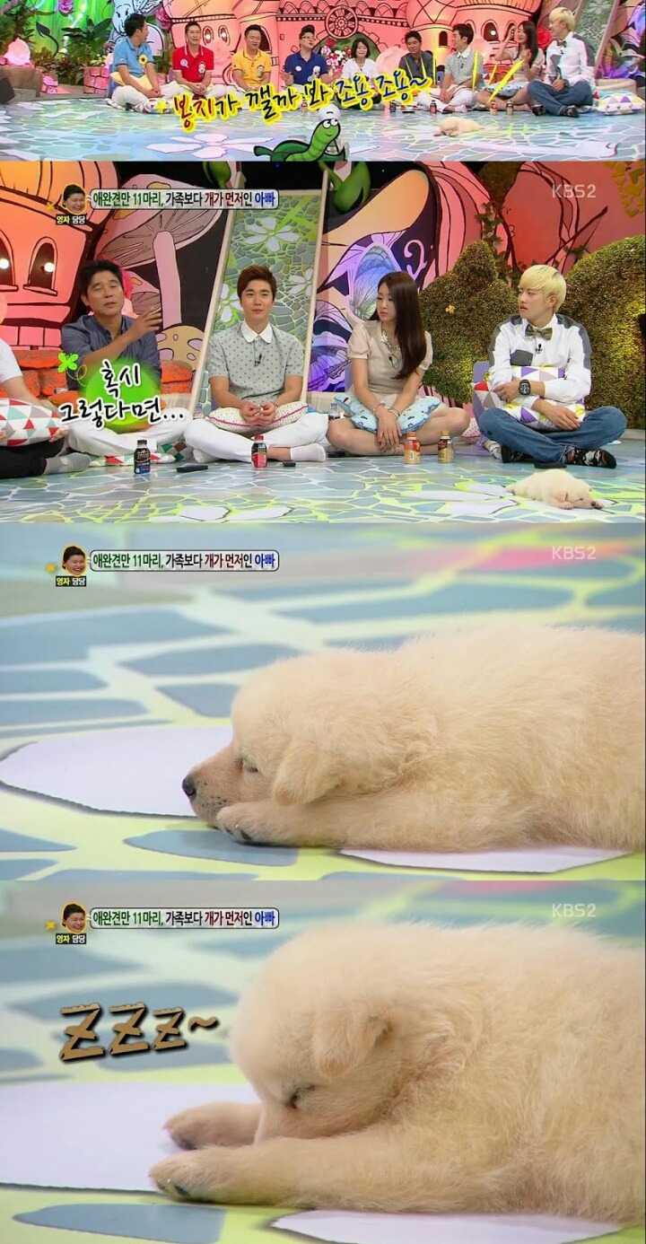 방송녹화 도중에 잠들어버리는 게스트.jpg (안녕하세요) | 인스티즈