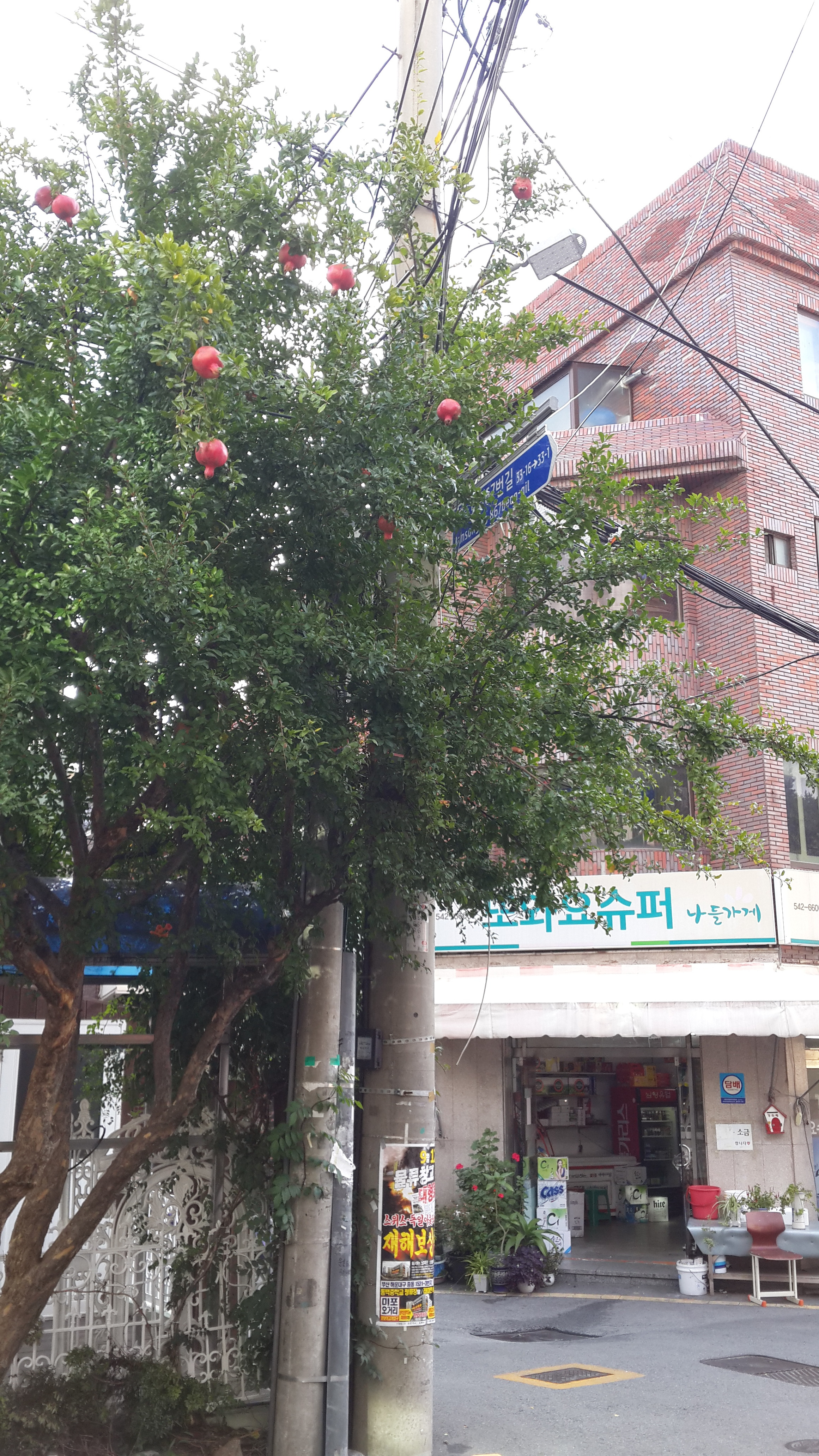 또와요슈퍼 이미지