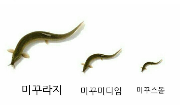 이거 하나로 웃겨볼게 | 인스티즈