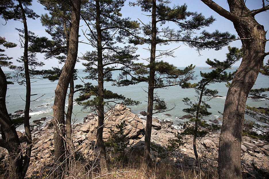 바다바라길 이미지