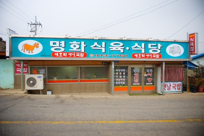 광주를 여행오신다면 꼭 들려야할 맛집 리스트 (상추튀김 아님 주의) | 인스티즈