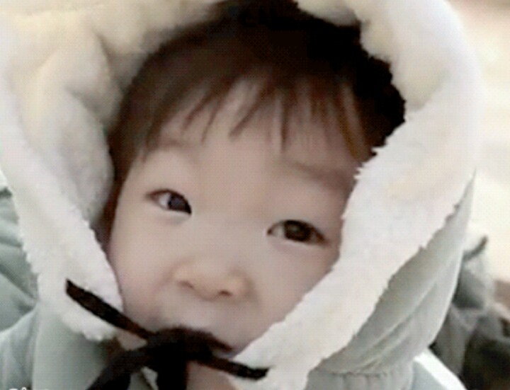 대한이 닮은 꼴.jpg | 인스티즈