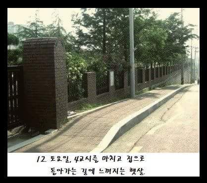 학창시절 졸업하면 다신 느낄수없는것들 | 인스티즈