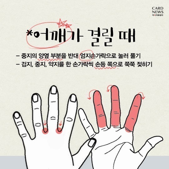 ＜부위별 지압OO이 아프면 OO을 지압하세요 | 인스티즈