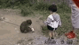 꼬마아이 때리는 동물들.gif | 인스티즈