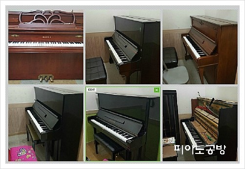성피아노음악학원 이미지