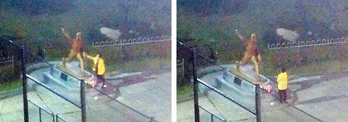 미친 것 같은 만평 | 인스티즈