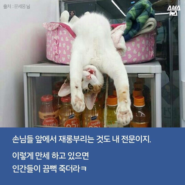 편순이 처음 보냥? | 인스티즈