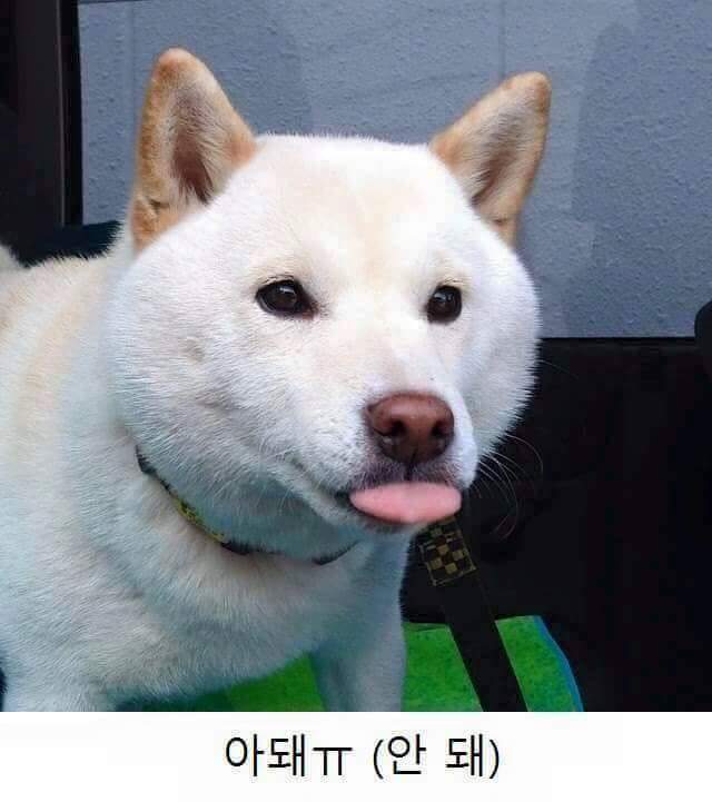 너 이거 돼?? | 인스티즈