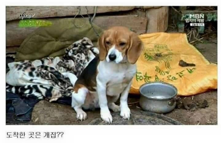 인 이미지