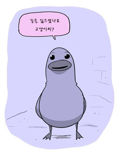길을 잘못 들어간 고양이 | 인스티즈
