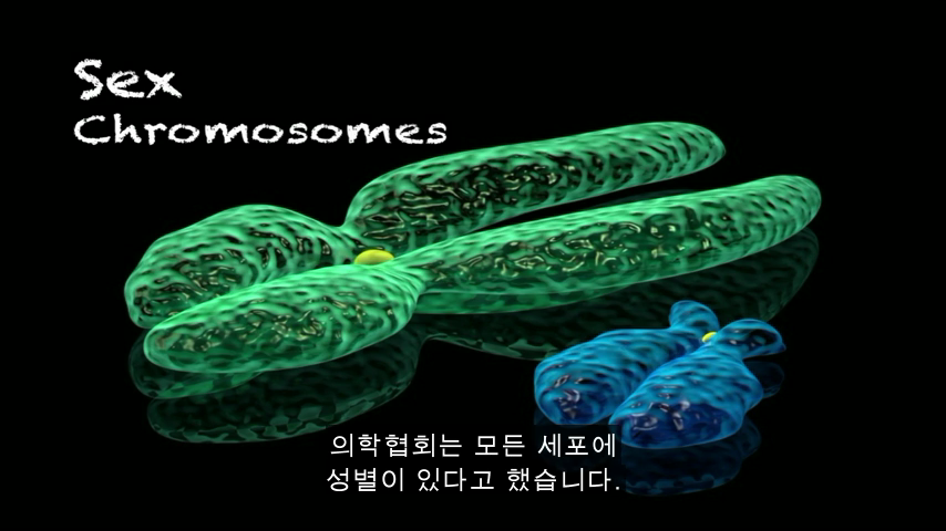 [TED] 왜 약은 종종 여성에게 위험한 부작용이 있는가 | 인스티즈