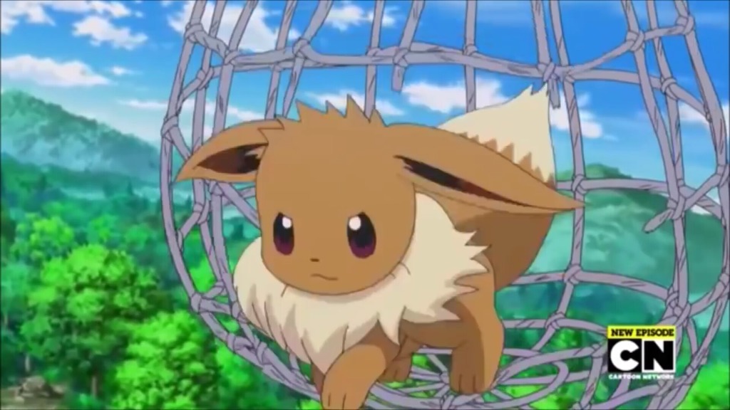 [포켓몬스터] 정말 충격적으로 예쁘고 귀여운 이브이 | 인스티즈