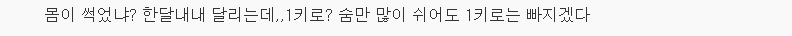 달리기 열심히 해도 살 안 빠지는 이유 4 | 인스티즈