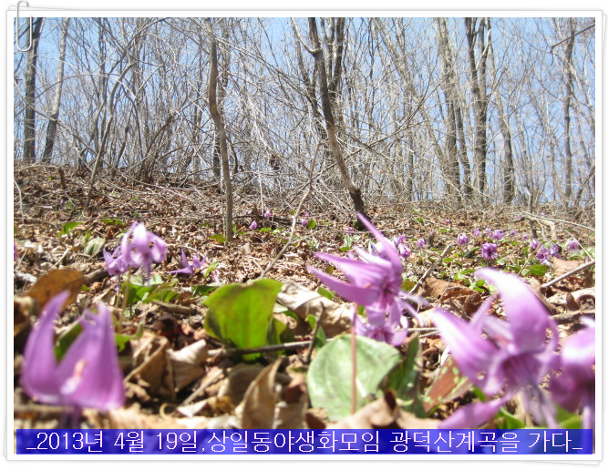 한아름식물원 이미지