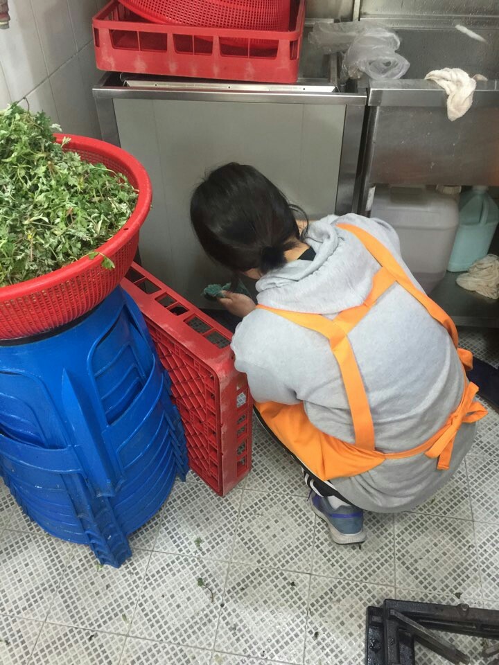 김중완 이미지