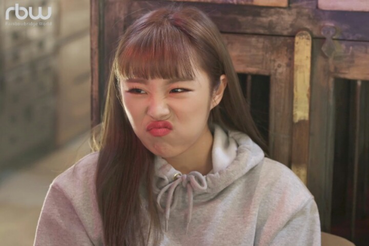 강아지 같은 마마무 휘인 | 인스티즈