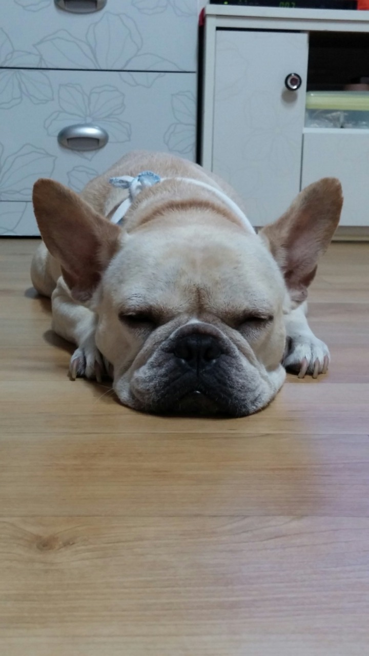 큐티 이미지
