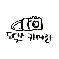 물놀이하는 팬더 | 인스티즈