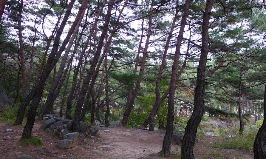 배산주유소 이미지