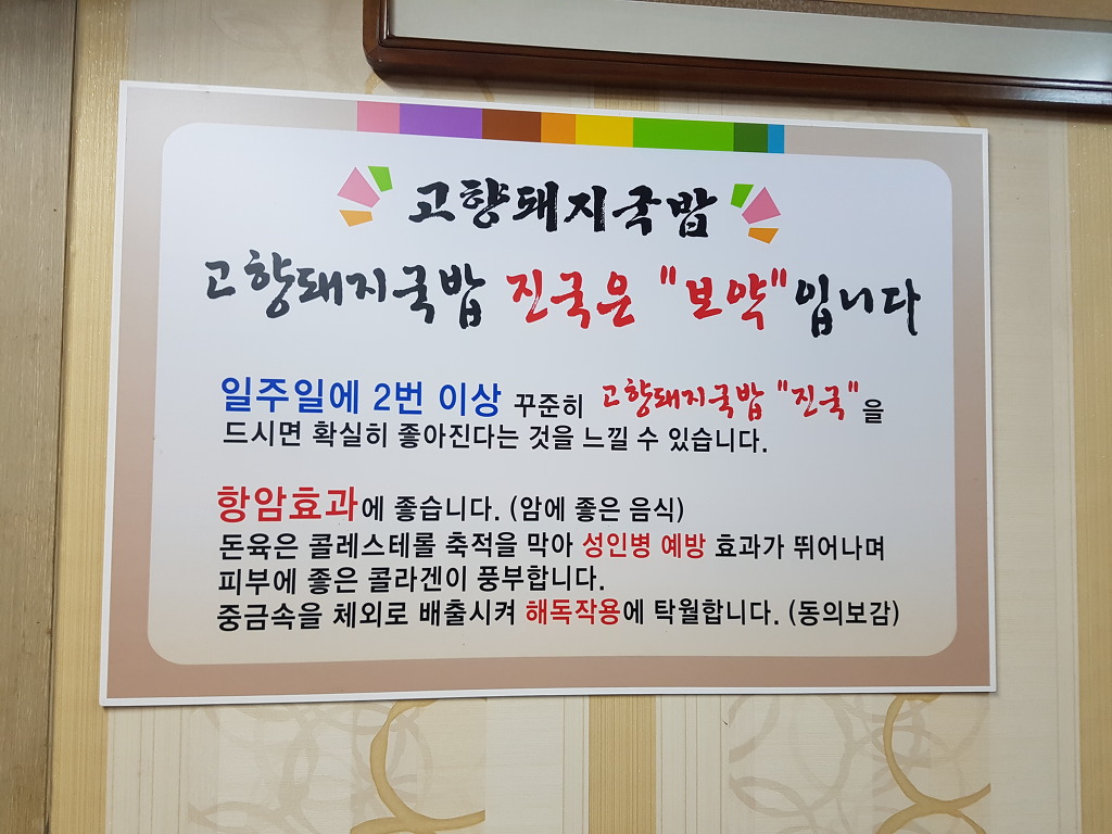고향돼지 이미지
