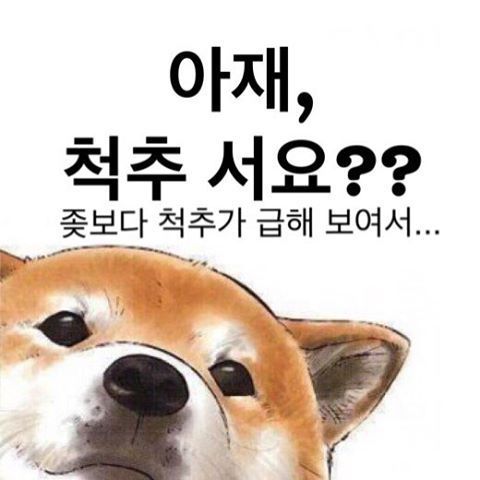 인스타그램의 계정ㅋㅋㅋㅋㅋ | 인스티즈