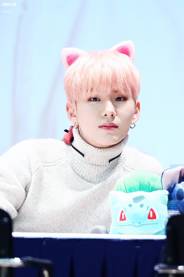 아이심쿵 이미지
